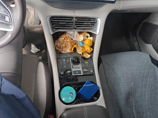BYD Song PLUS — Фото автомобиля 16