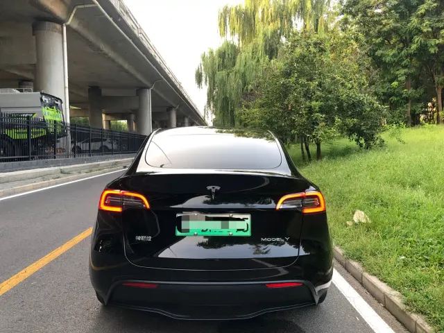 Tesla Model Y — Фото автомобиля 15