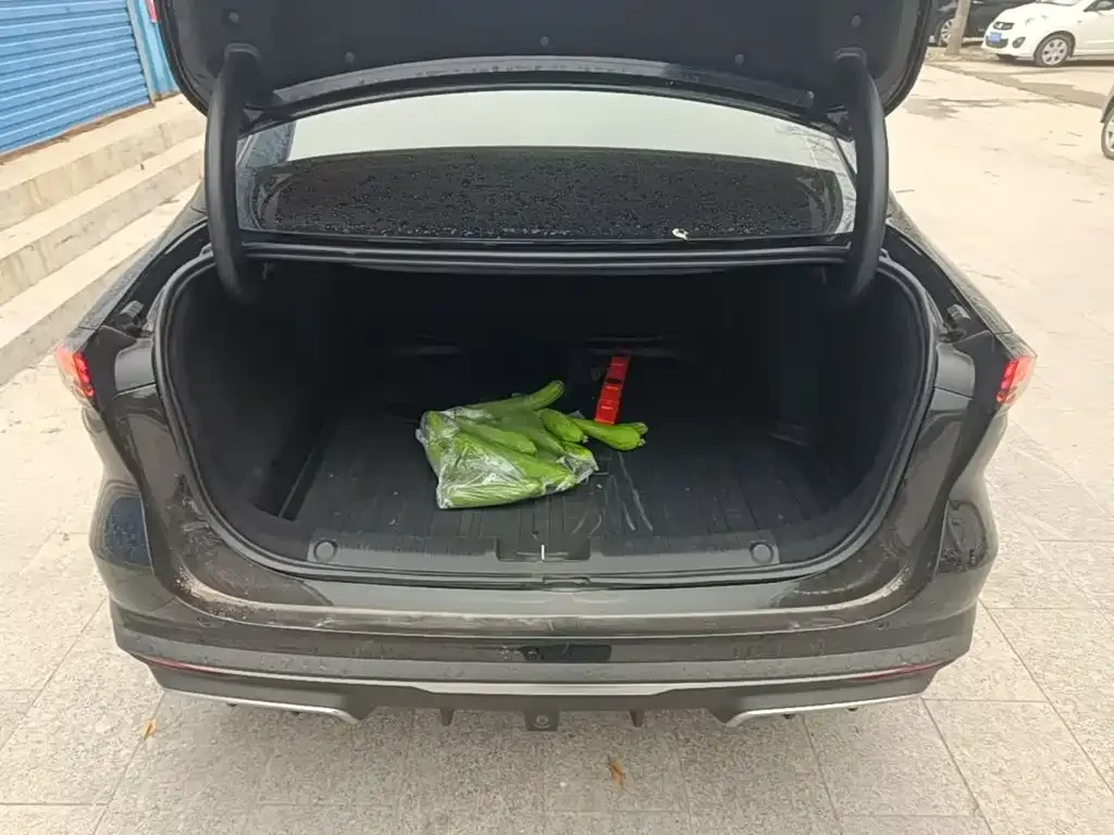 Geely Galaxy Galaxy L6 2023 125km Starship — Фото автомобиля 18