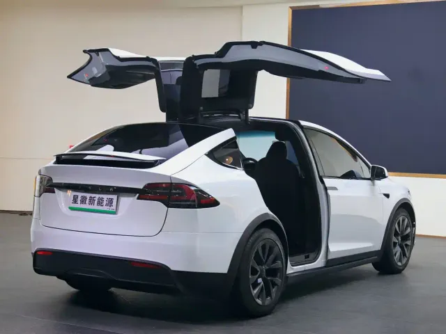 Tesla Model X — Фото автомобиля 22