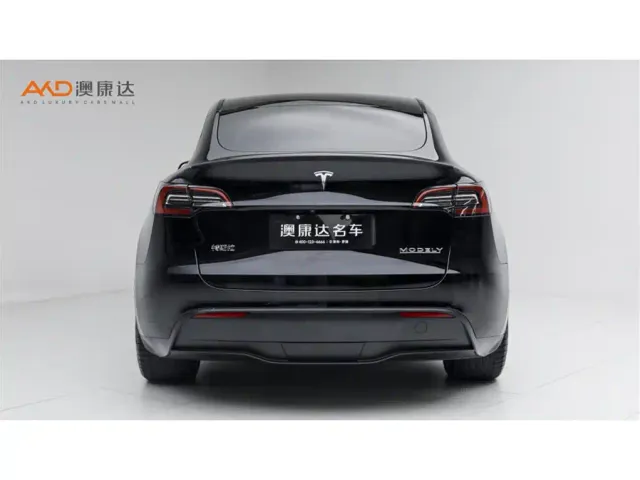 Tesla Model Y — Фото автомобиля 4