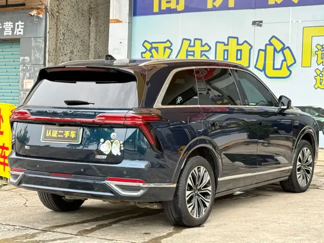 Wey Lanshan — Фото автомобиля 18
