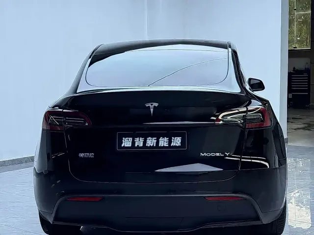 Tesla Model Y — Фото автомобиля 14