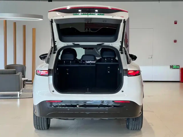 Voyah Auto Voyah Zhiyin 2025 Base — Фото автомобиля 16