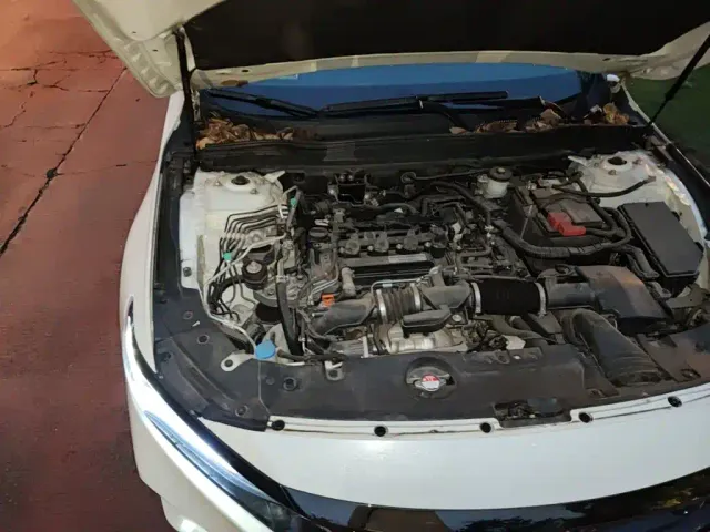 Honda Accord — Фото автомобиля 18