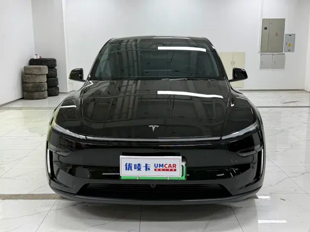 Tesla Model Y — Фото автомобиля 2