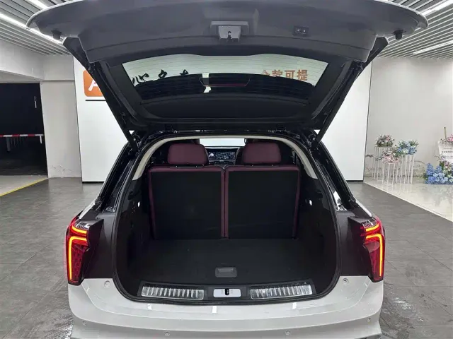 Hongqi E-HS9 — Фото автомобиля 5