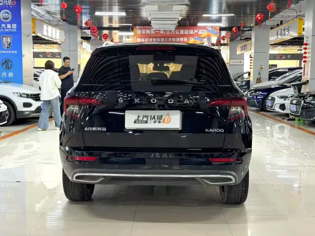 Skoda Karoq — Фото автомобиля 9