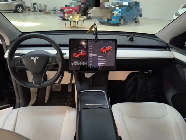 Tesla Model Y — Фото автомобиля 9