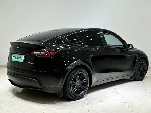 Tesla Model Y — Фото автомобиля 19