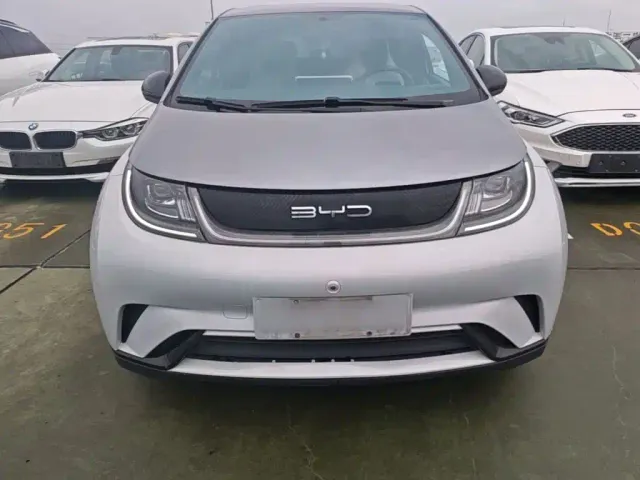 BYD Dolphin — Фото автомобиля 2
