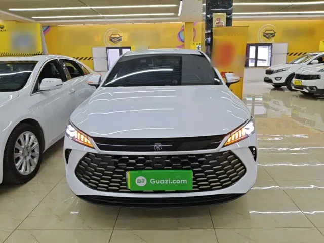 BYD Qin PLUS — Фото автомобиля 2