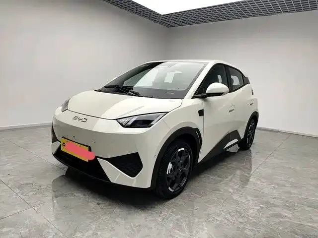 Фотография автомобиля — BYD Seagull