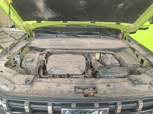 Haval Cool Dog — Фото автомобиля 19
