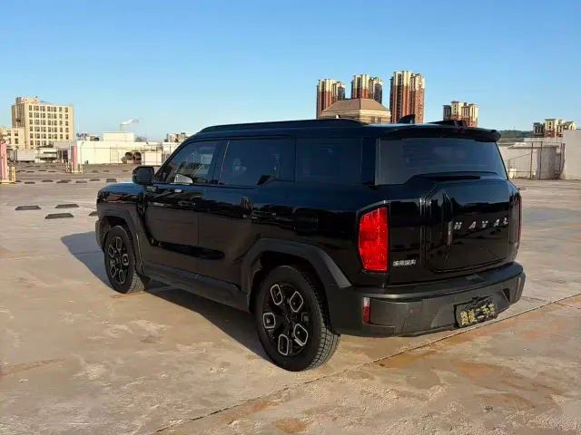 Haval Cool Dog — Фото автомобиля 6