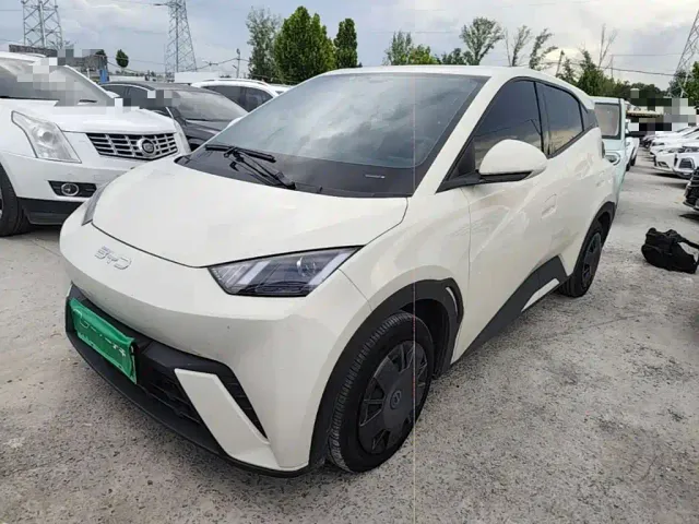 Фотография автомобиля — BYD Seagull