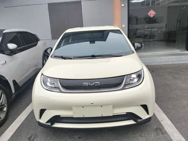 BYD Dolphin — Фото автомобиля 2