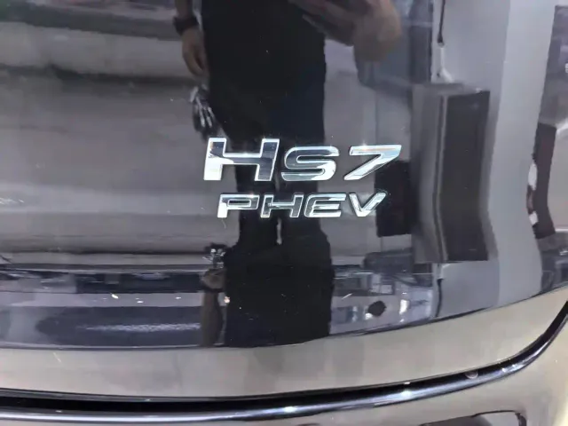 Hongqi HS7 PHEV — Фото автомобиля 17