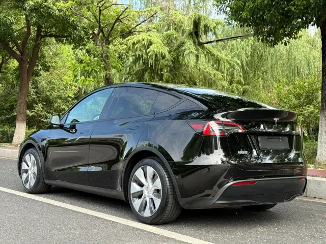 Tesla Model Y — Фото автомобиля 3
