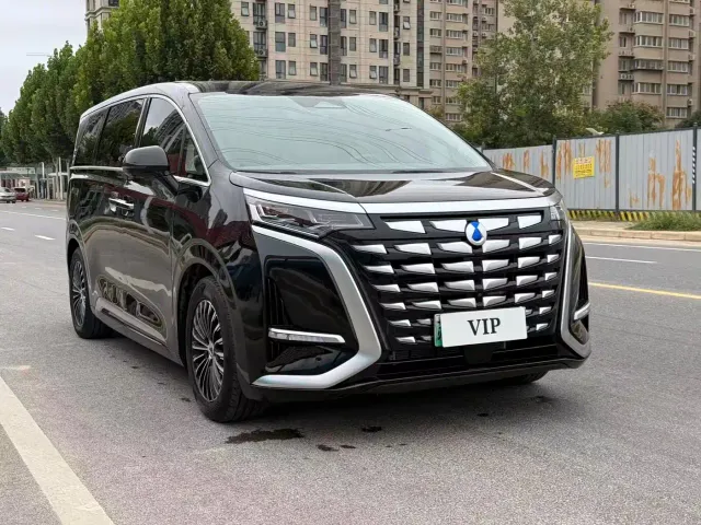 Denza D9 — Фото автомобиля 2