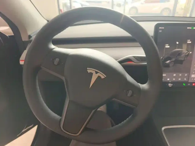 Tesla Model Y — Фото автомобиля 10