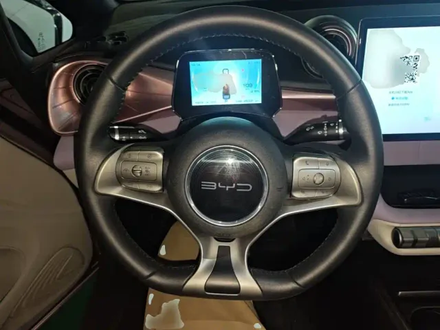 BYD Dolphin — Фото автомобиля 10