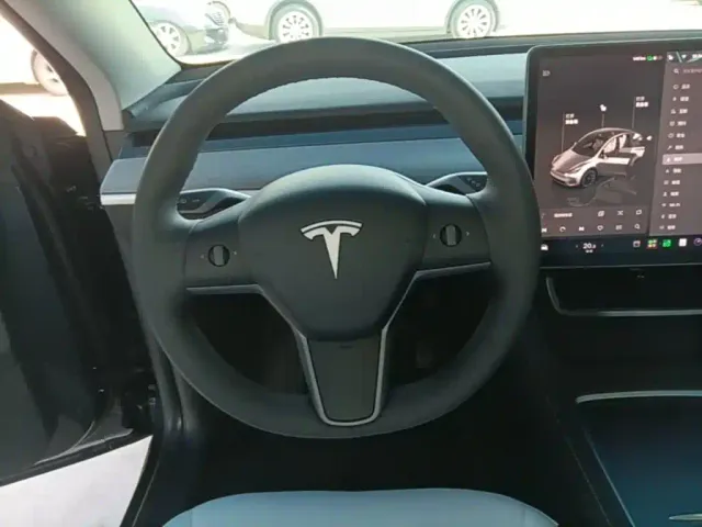 Tesla Model Y — Фото автомобиля 10