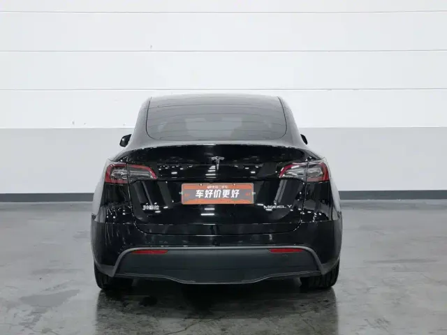 Tesla Model Y — Фото автомобиля 4