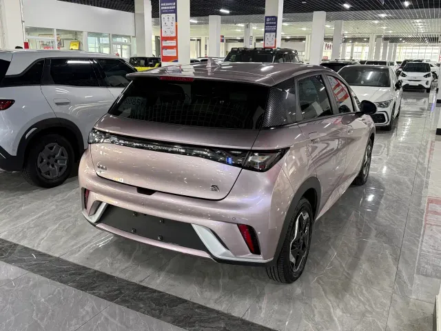 BYD Dolphin — Фото автомобиля 8