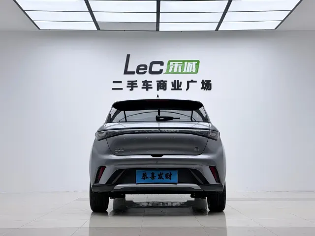 BYD Dolphin — Фото автомобиля 11