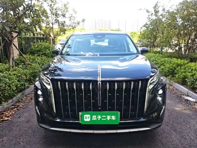 Hongqi HS7 PHEV — Фото автомобиля 2