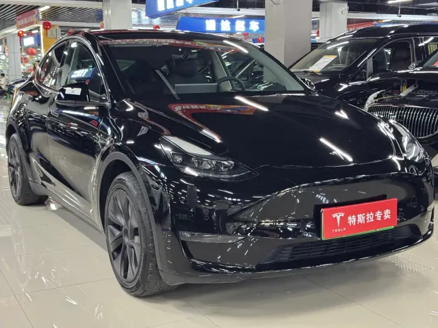 Tesla Model Y — Фото автомобиля 3