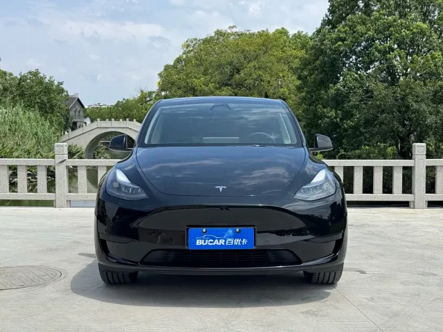 Tesla Model Y — Фото автомобиля 2