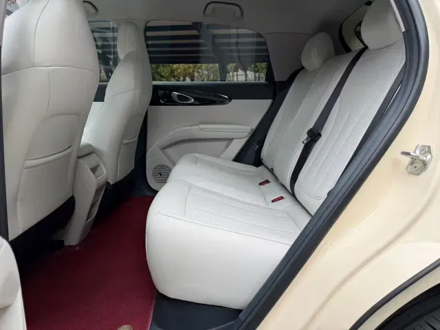 Geely Starry Wish — Фото автомобиля 14