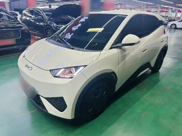Фотография автомобиля — BYD Seagull