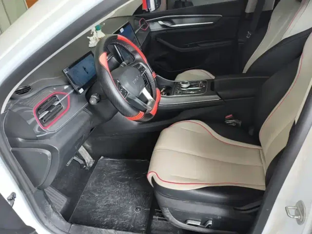 BYD Destroyer 05 2022 DM-i 55KM Luxury — Фото автомобиля 14