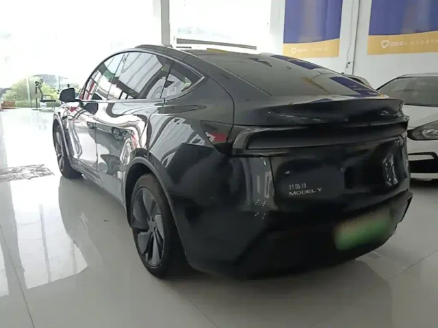 Tesla Model Y — Фото автомобиля 4