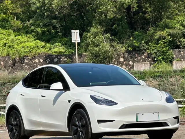 Tesla Model Y — Фото автомобиля 3
