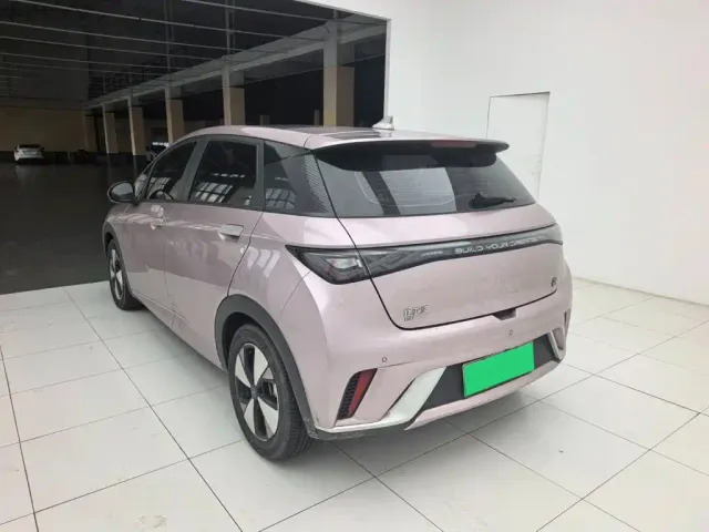 BYD Dolphin — Фото автомобиля 8