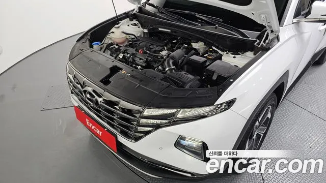 Hyundai Tucson Tucson (NX4) Бензин 1.6 турбо 2WD — Фото автомобиля 6