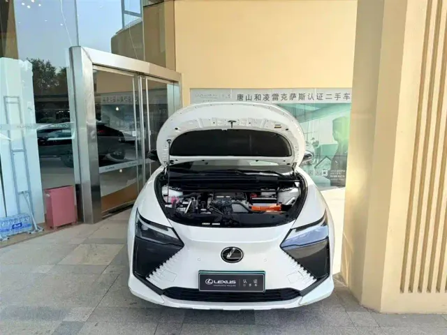Lexus RZ — Фото автомобиля 6