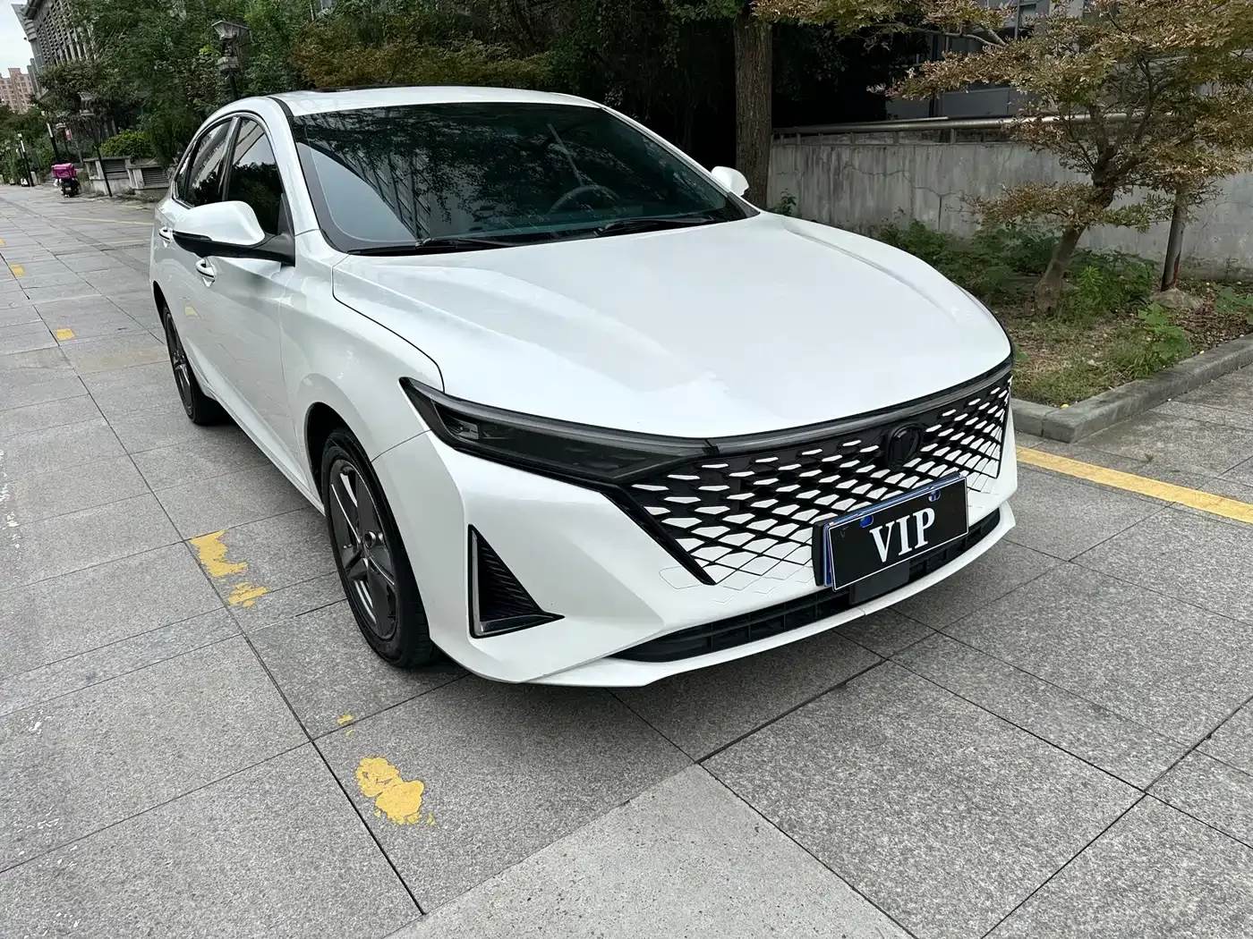 Changan Ruicheng PLUS 2023 1.5T DCT Luxury — Фото автомобиля 3