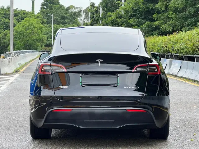 Tesla Model Y — Фото автомобиля 15