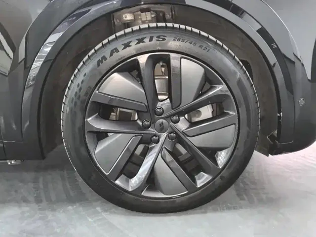 Li Auto L9 — Фото автомобиля 6