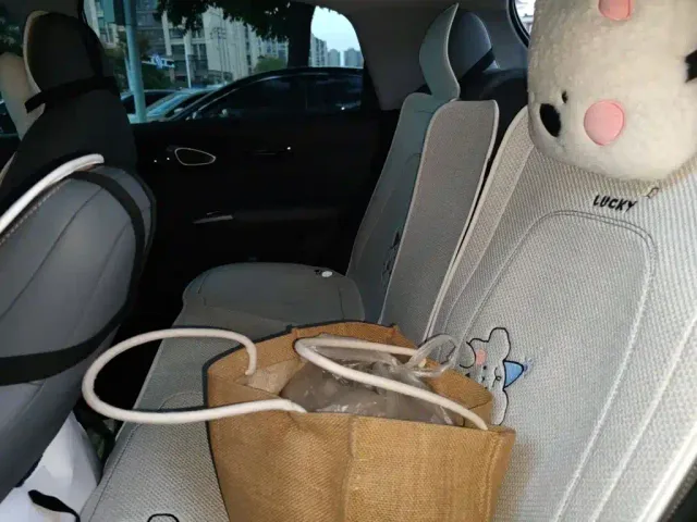 Geely Starry Wish — Фото автомобиля 13