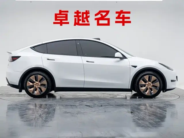 Tesla Model Y — Фото автомобиля 5