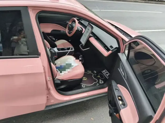 Nezha Auto Nezha V 2021 Witch Edition — Фото автомобиля 21