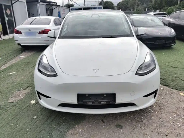Tesla Model Y — Фото автомобиля 2