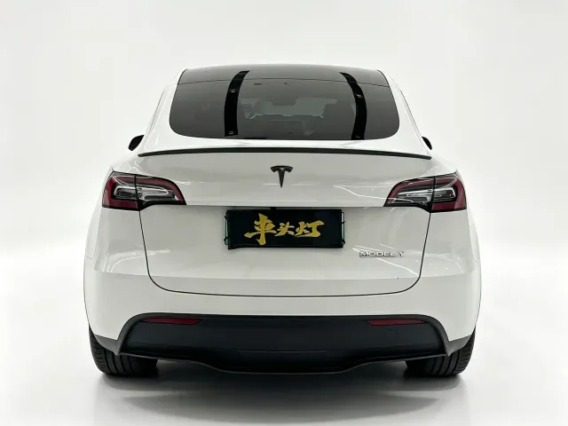 Tesla Model Y — Фото автомобиля 9