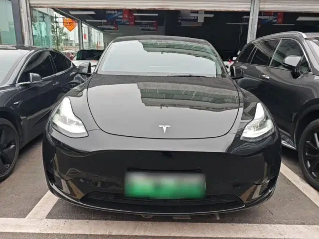 Tesla Model Y — Фото автомобиля 2